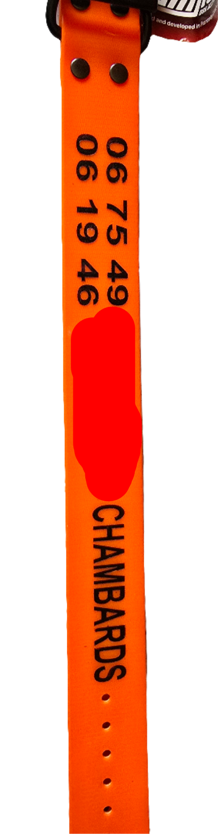 COLLIER CANIHUNT XTREME Polyuréthane 2.5 x 0.25 x 65 cm Boucle Double ROUGE